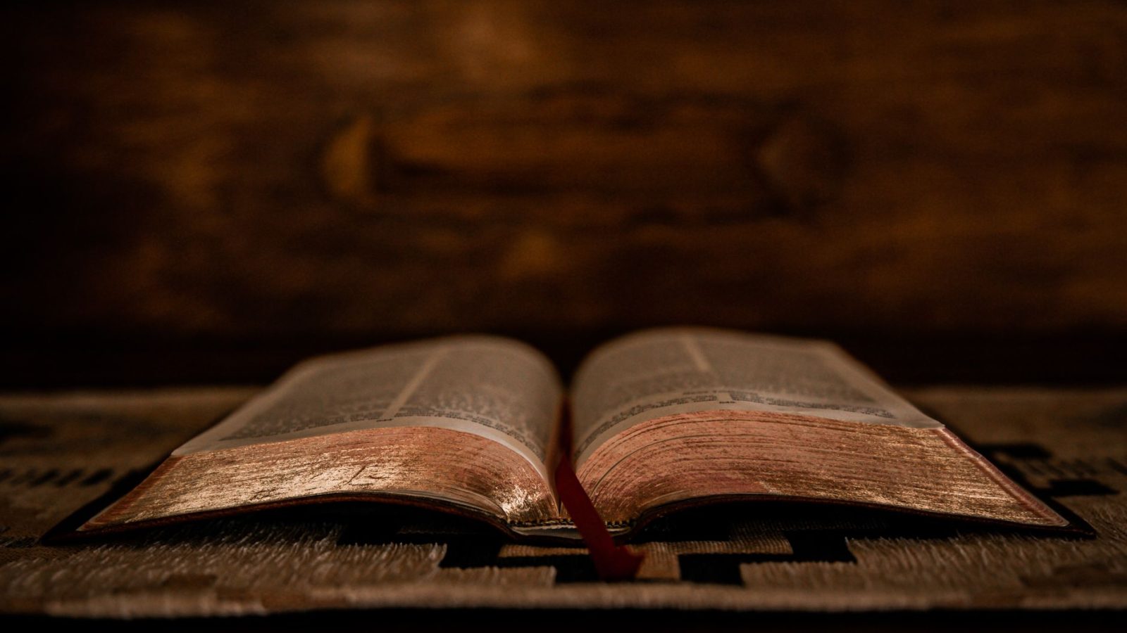 A Beginner's Guide to Reading the Bible Daily — featured image