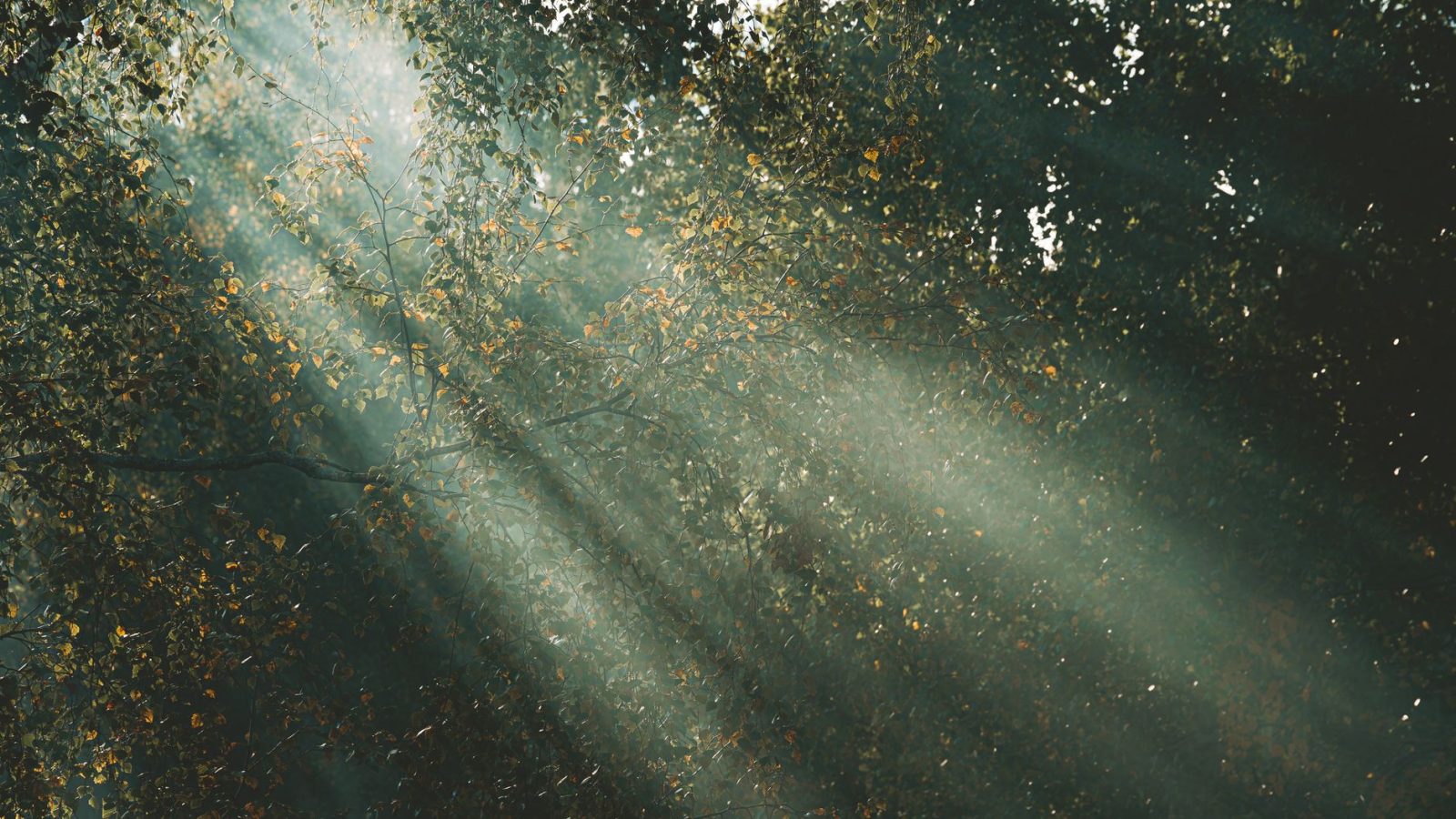 Anxiety — featured image