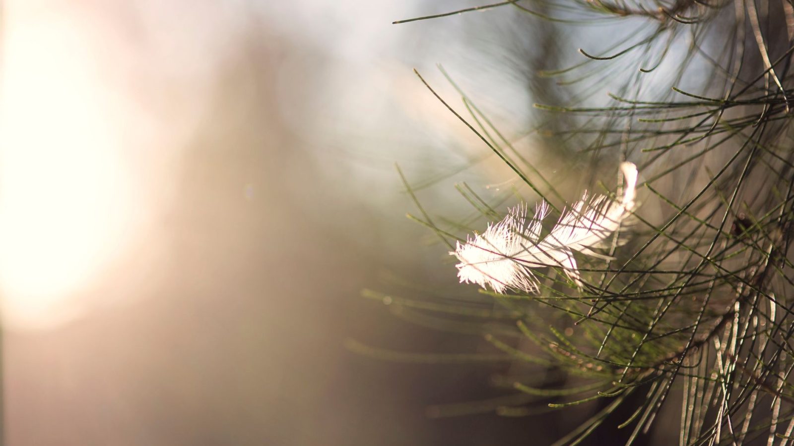 Grief — featured image