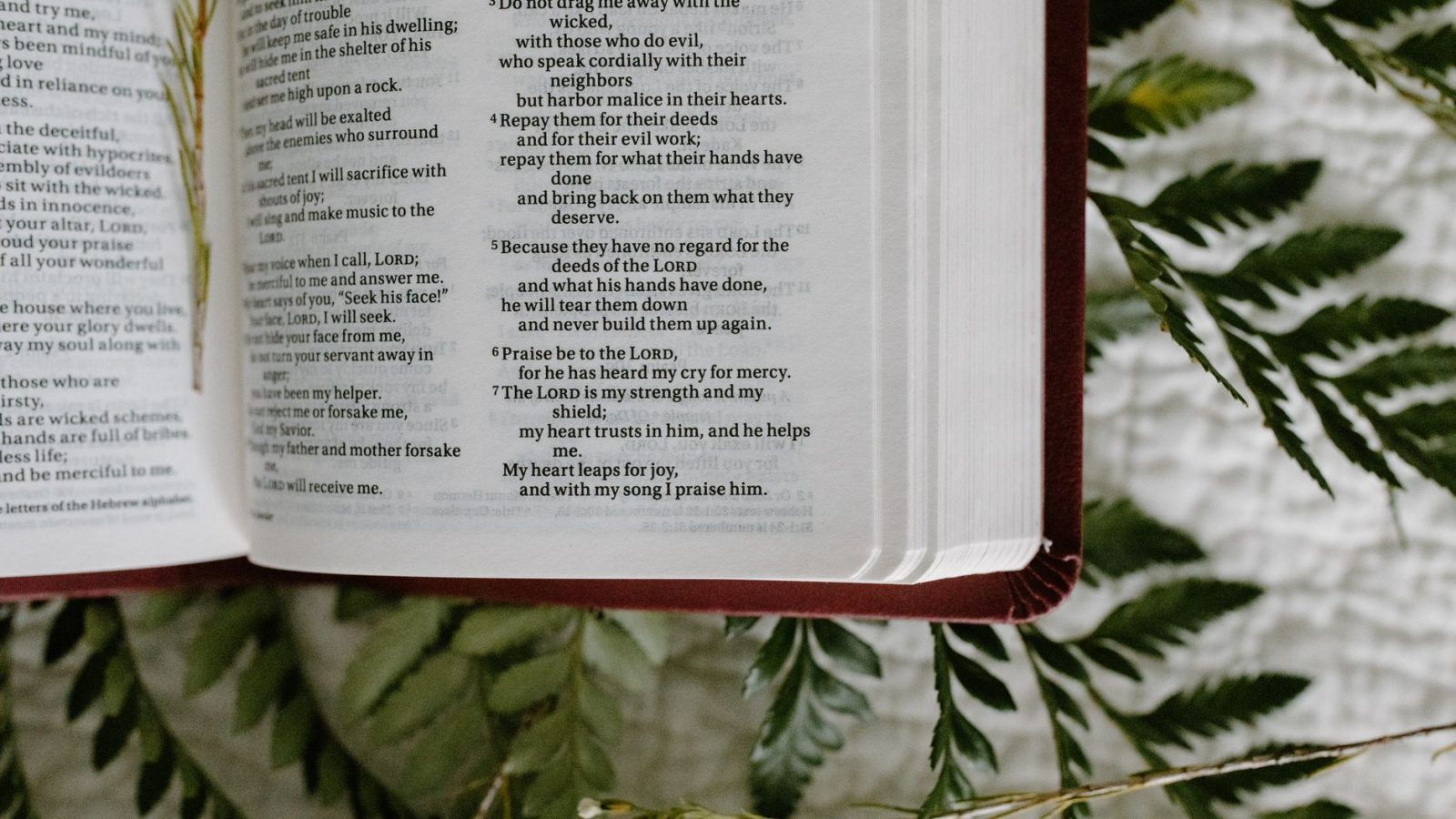 Psalm 1: The Blessed Life — featured image