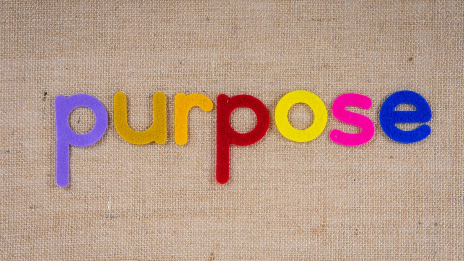 Purpose — featured image