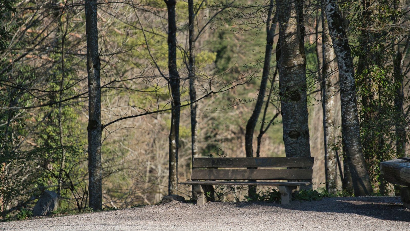 Rest — featured image