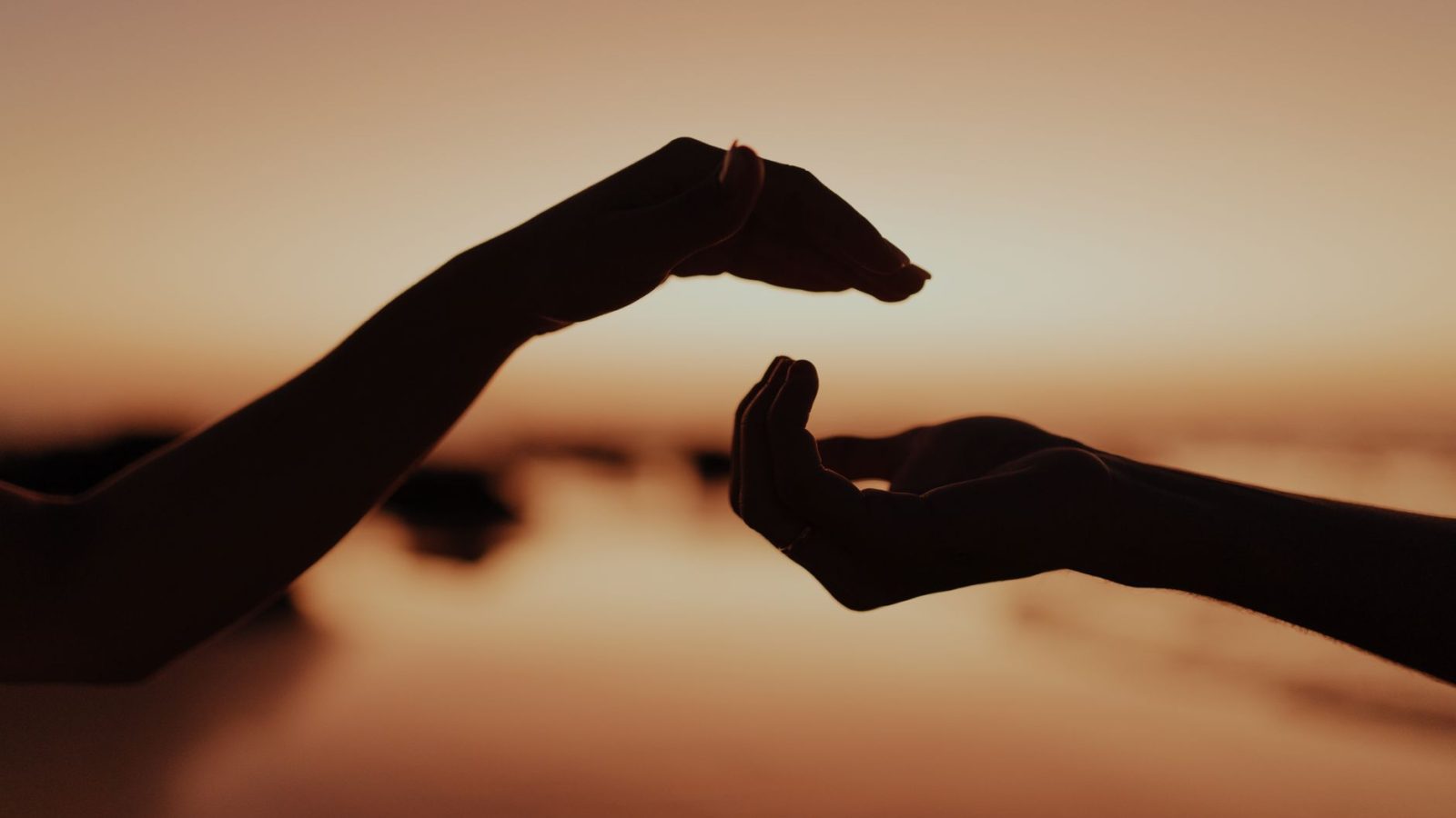 Trust — featured image