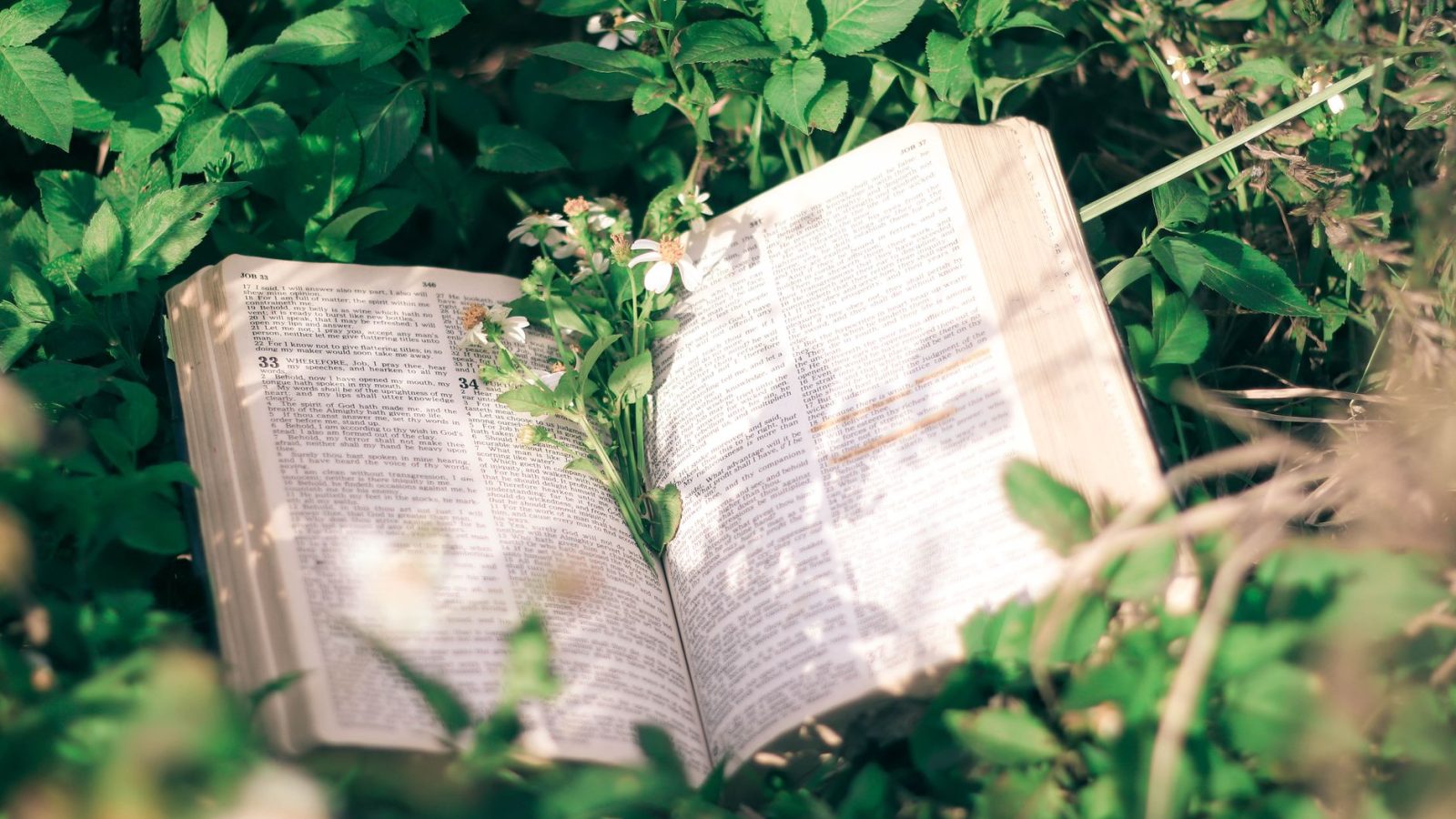 What Does the Bible Say About God's Love? — featured image