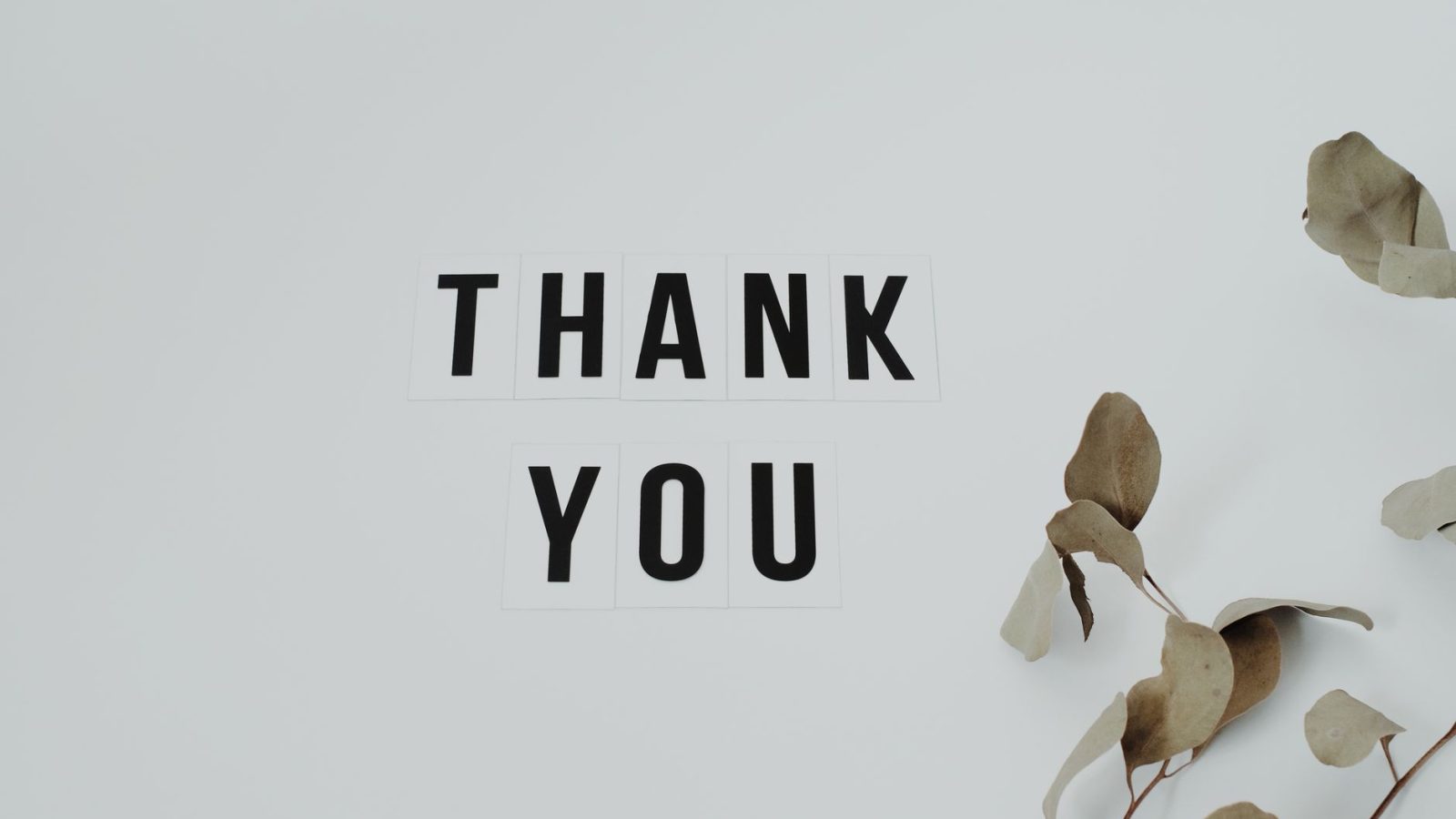 What Does the Bible Say About Gratitude? — featured image