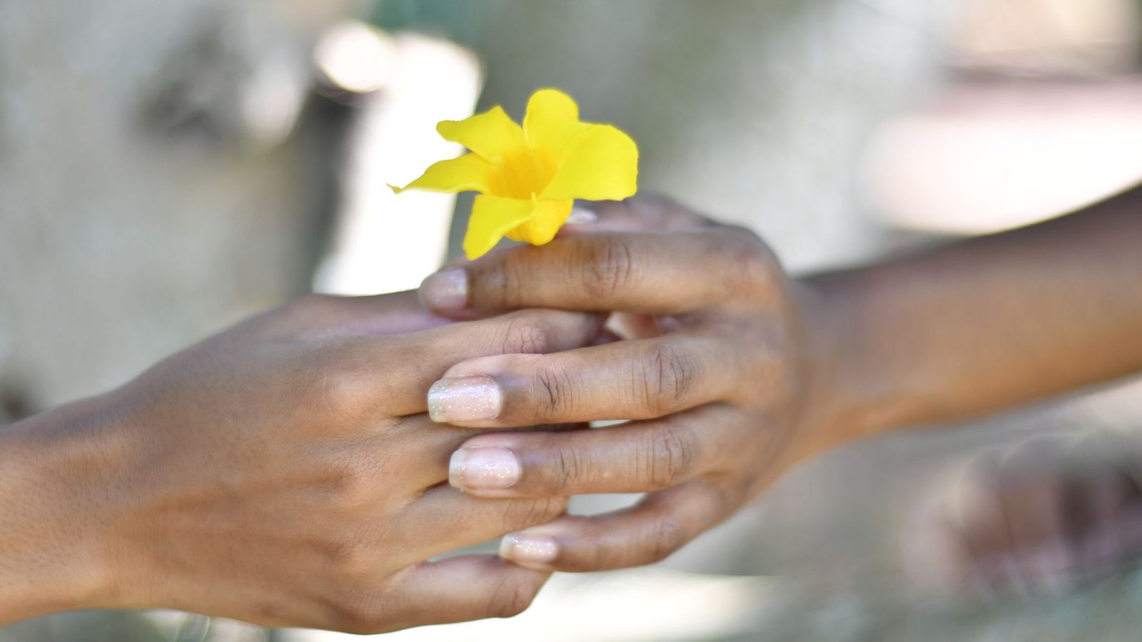 Generosity — featured image