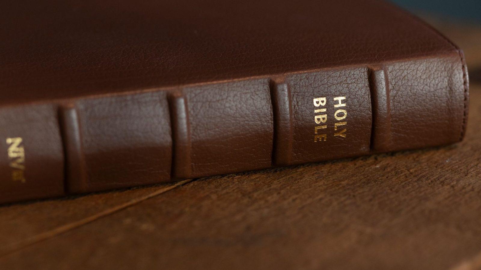 What Is the New Covenant? — featured image