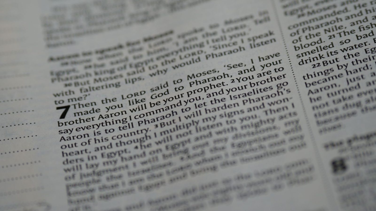 Lessons From the Life of Moses — featured image