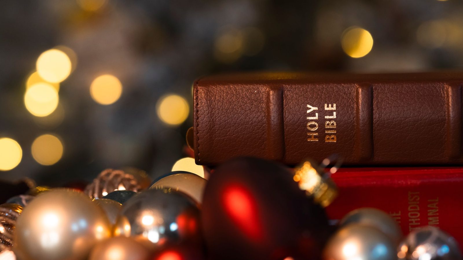 What Does the Bible Say About Joy? — featured image