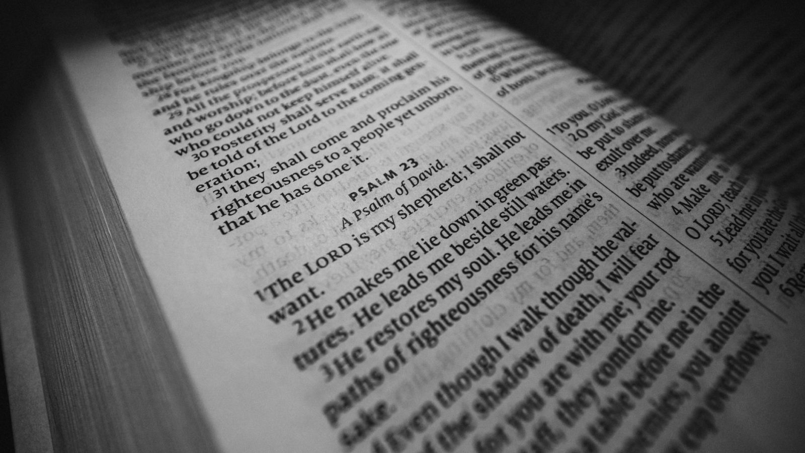 A Guide to Praying Psalm 23 — featured image