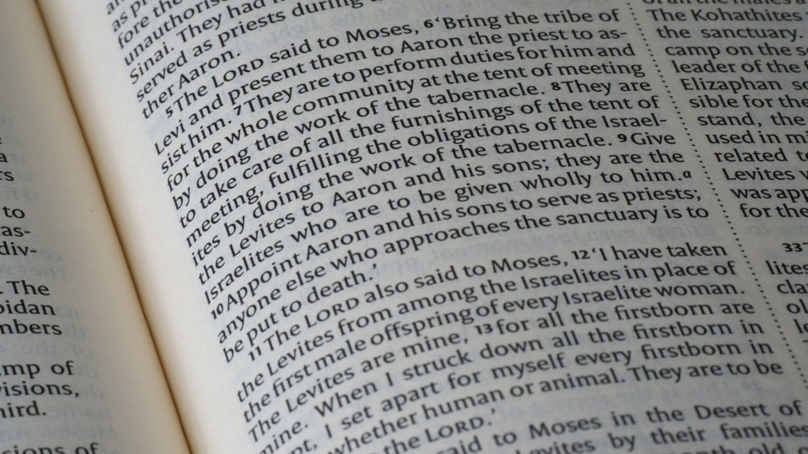 Moses: Called by God — featured image
