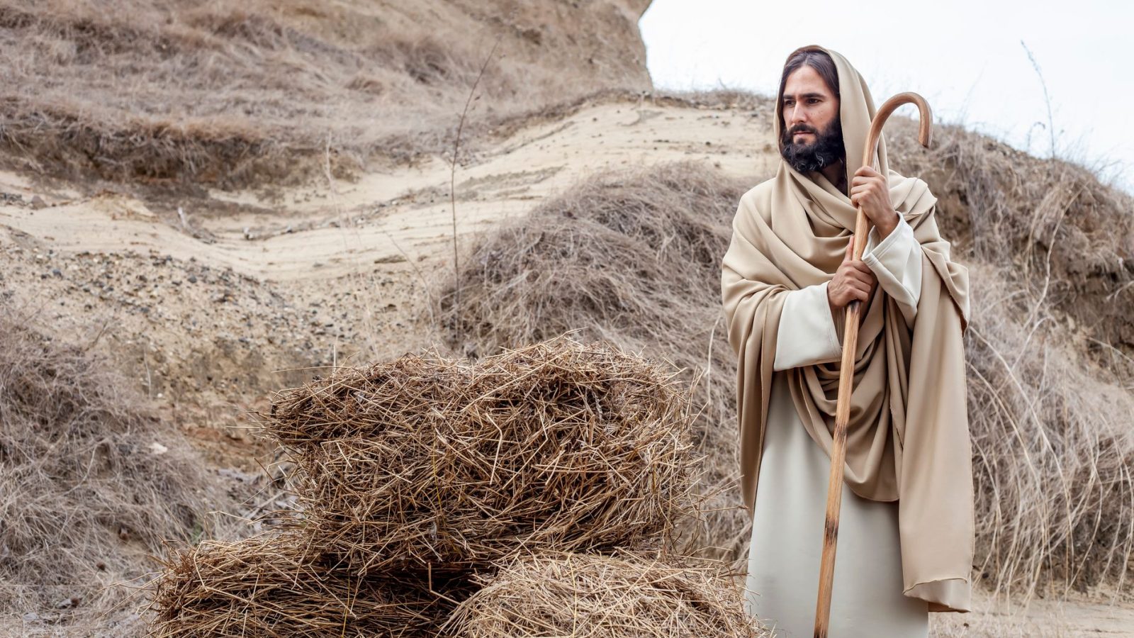 Jesus the Good Shepherd — featured image