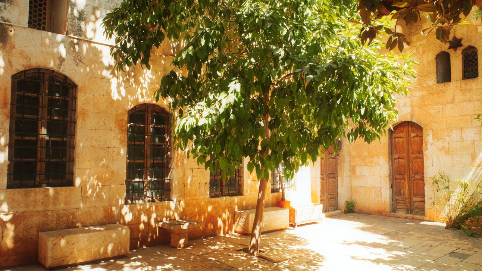 Lessons From Zacchaeus the Tax Collector — featured image