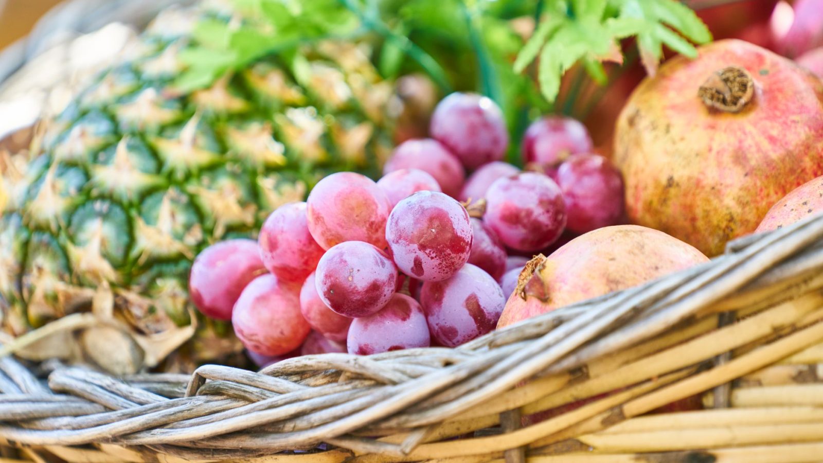 The Fruit of the Spirit — featured image