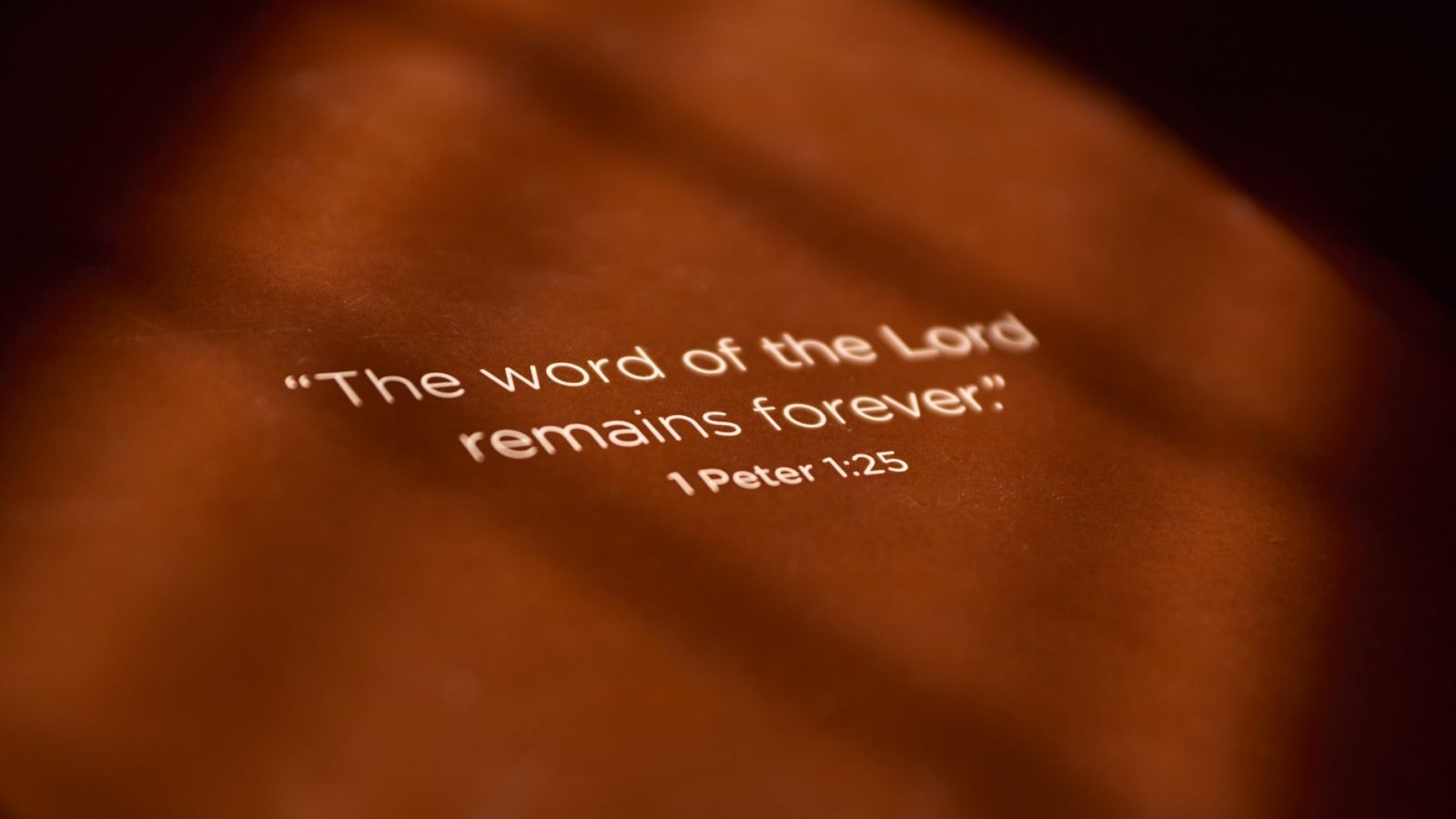 What Does This Bible Verse Mean? — featured image