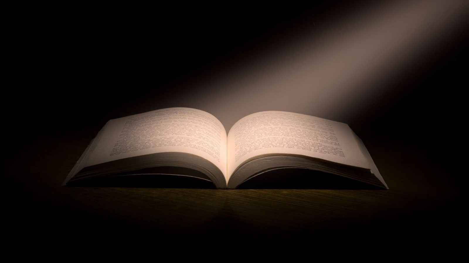 What Can We Learn From Noah? — featured image