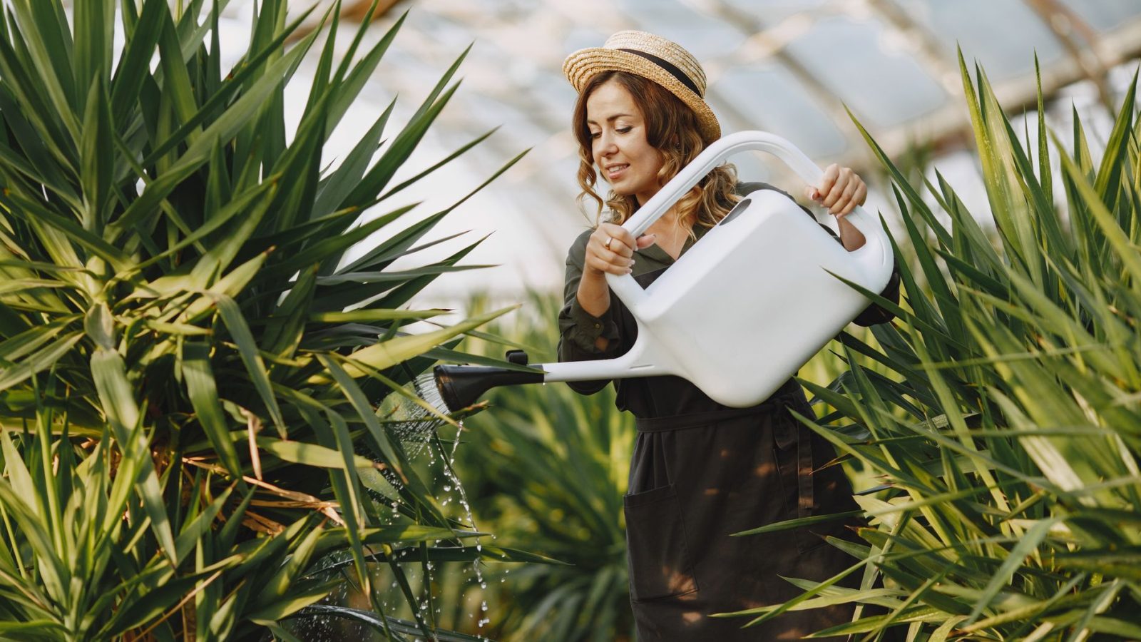 What We Can Learn From the Woman at the Well — featured image