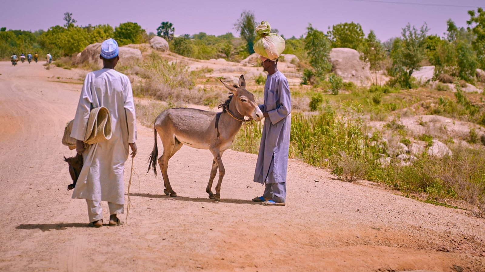 What the Triumphal Entry Teaches Us — featured image