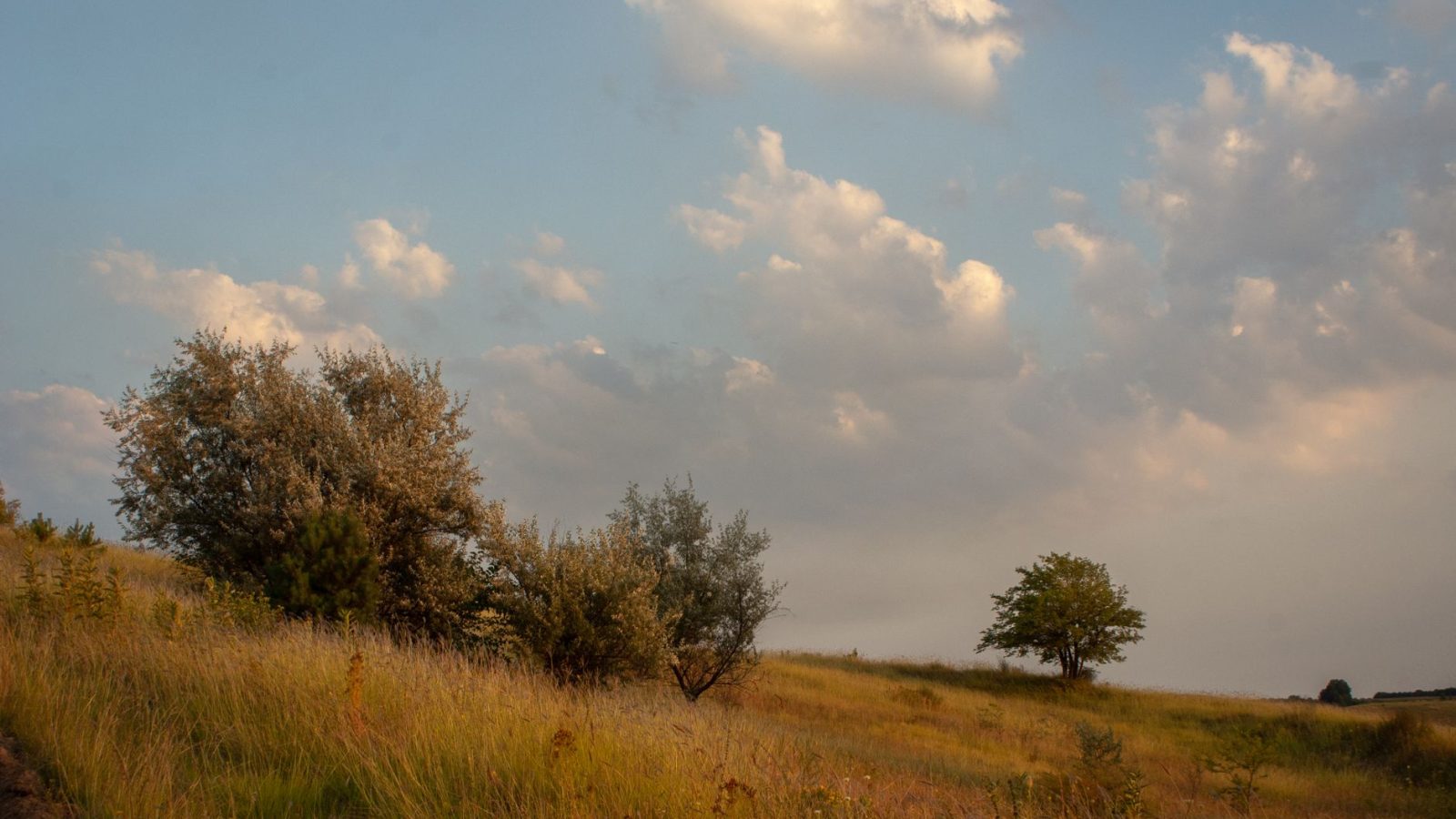 What the Sermon on the Mount Teaches Us — featured image